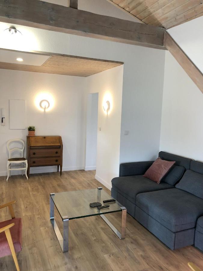 Apartmán L'Hirondelle - Charming Flat - Blotzheim Exteriér fotografie