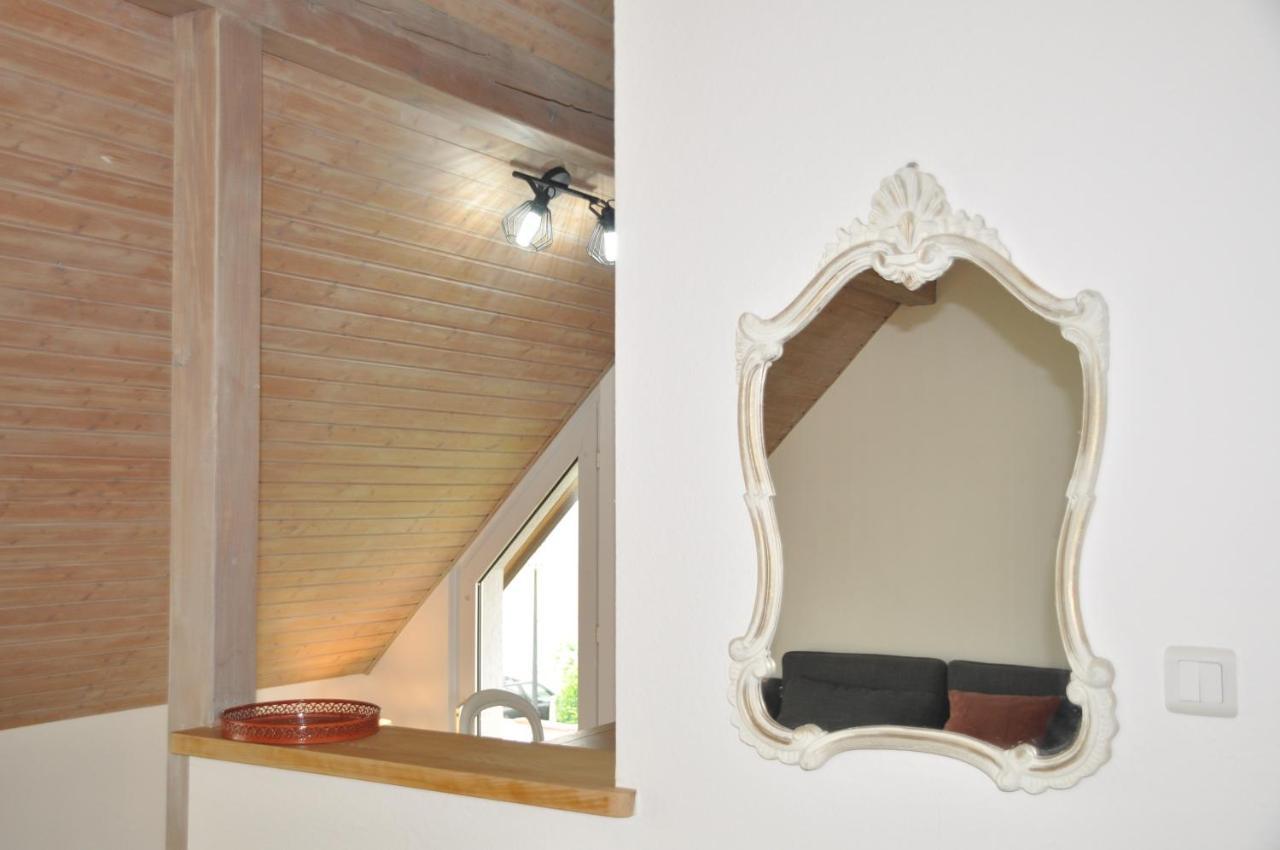 Apartmán L'Hirondelle - Charming Flat - Blotzheim Exteriér fotografie